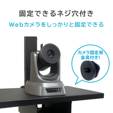 �Œ�ł���l�W���t��