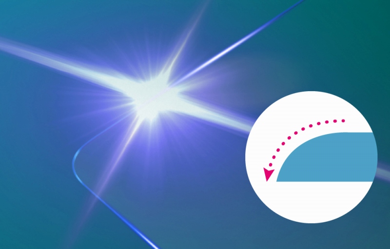 �w��ɂ₳�����u���E���h�G�b�W���H�v