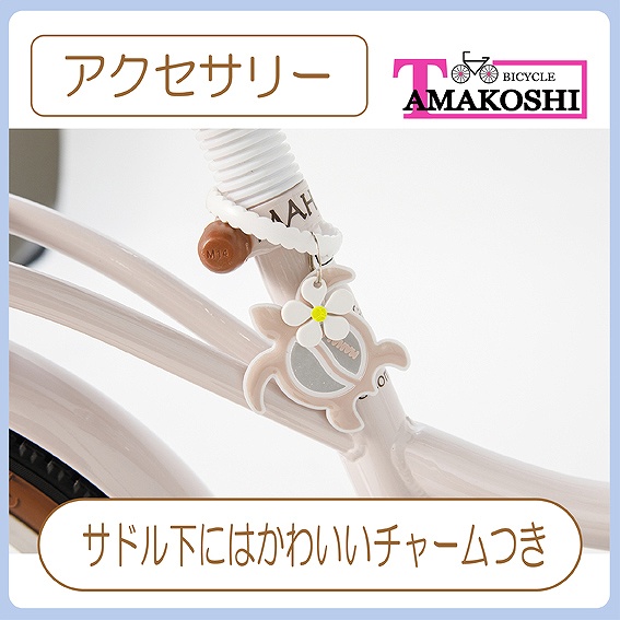 �A�N�Z�T���[