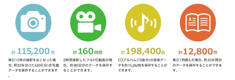 �ۑ��ł���e��f�[�^�̖ڈ� (2TB�̏ꍇ)