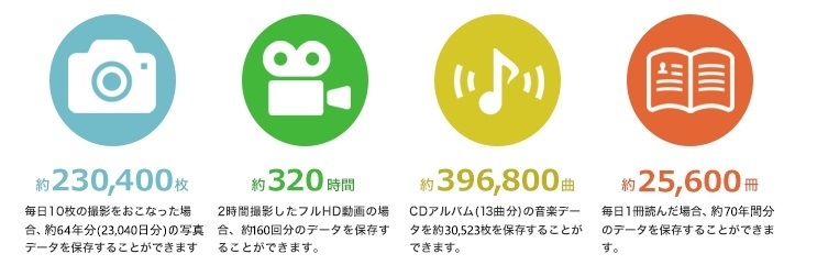 �ۑ��ł���e��f�[�^�̖ڈ� (2TB�̏ꍇ)