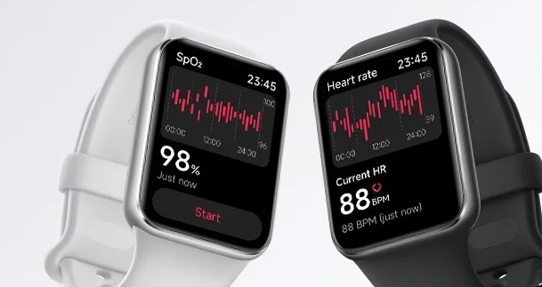 �����_�f���x���ƐS�����̃��j�^�����O���x������*