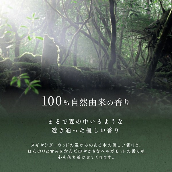 100�����R�R���̍���