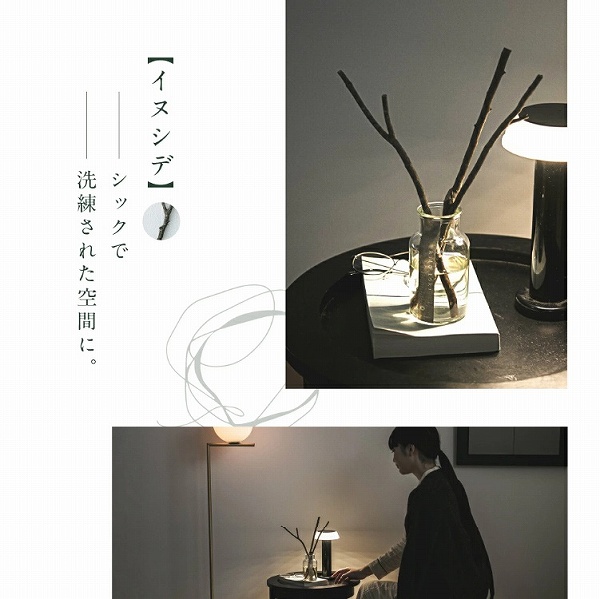 �V�b�N�Ő������ꂽ��Ԃ�