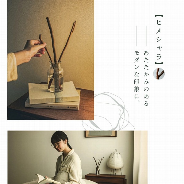 ���������݂̂���@���_���Ȉ�ۂ�