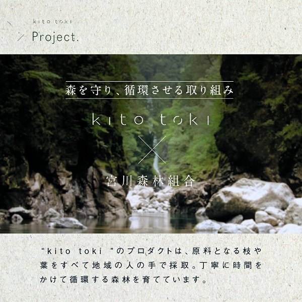 �X�����A�z��������g��