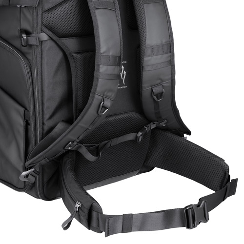 �ʔ���̃E�G�X�g�x���g�����ł����K��