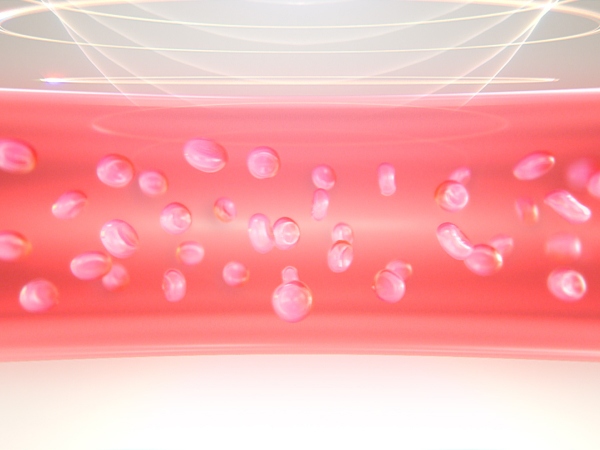 ���ǂ��g�������s���i