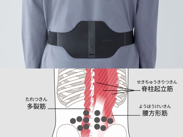 �����g�f�o�C�X12���R���̃|�C���g�ɍœK�z�u