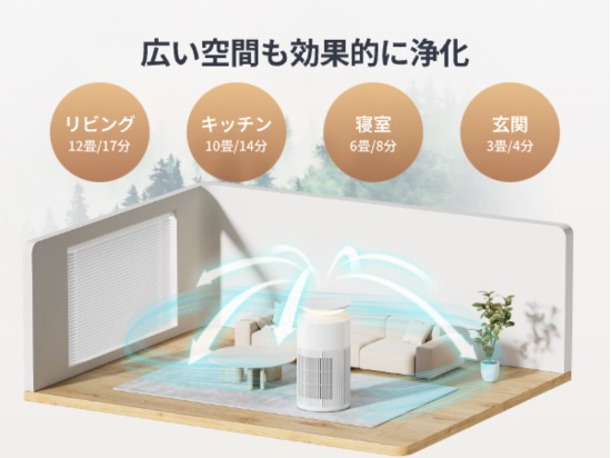 �p���t���啗��