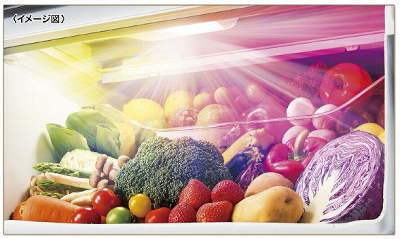 ������c�C��LED��؎�