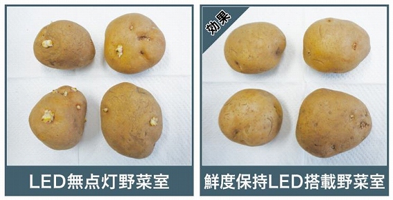 ������c�C��LED��؎�