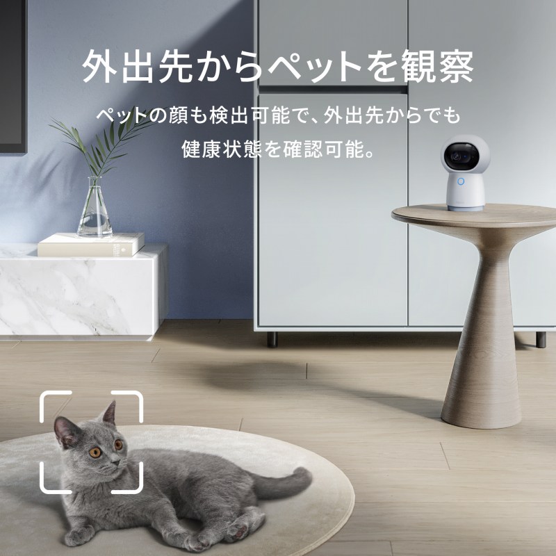 Oo悩ybgώ@
