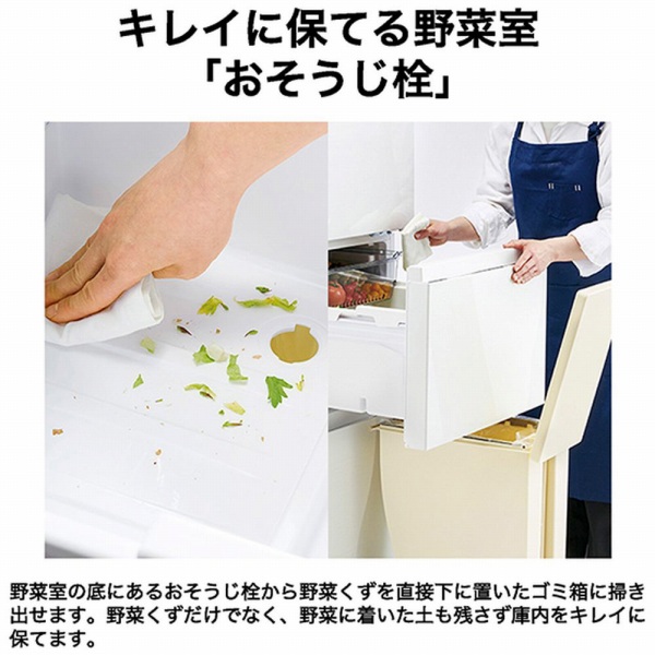 �L���C�ɕۂĂ��؎��u�����������v