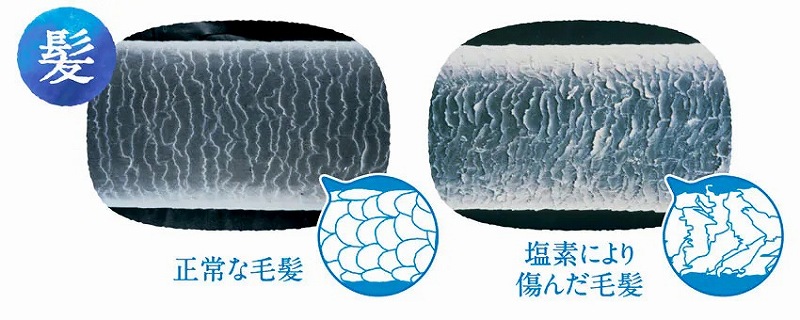 �������Ɋ܂܂�Ă���c�����f�����ɕt���ƁA�L���[�e�B�N���Ȃǂ̃^���p�N�����_���E��������܂�