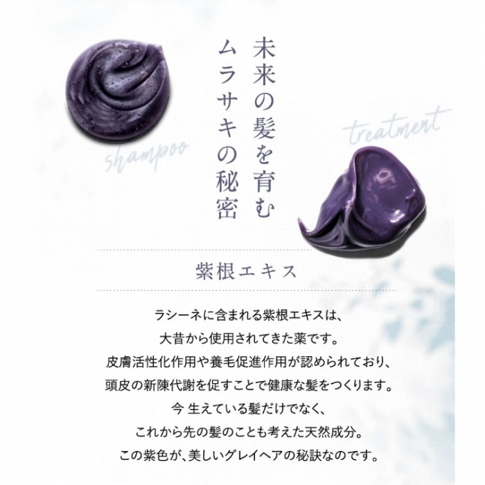 �����̔�����ރ����T�L�̔閧