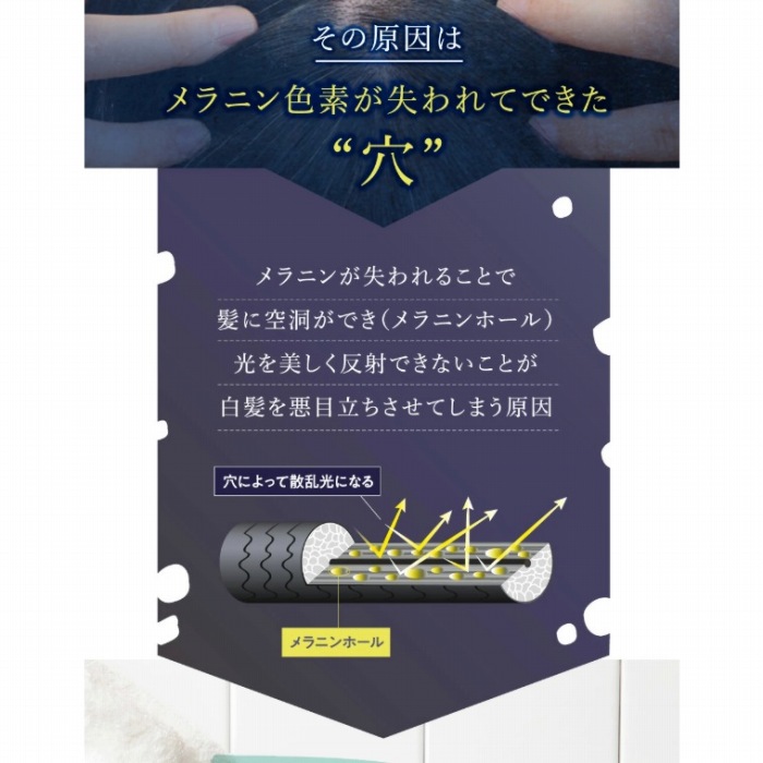 ���������ڗ��������Ă��܂�����