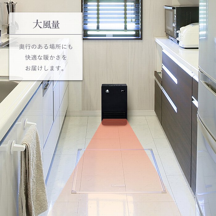 ���g���ʂ̑啗�ʃ��f��