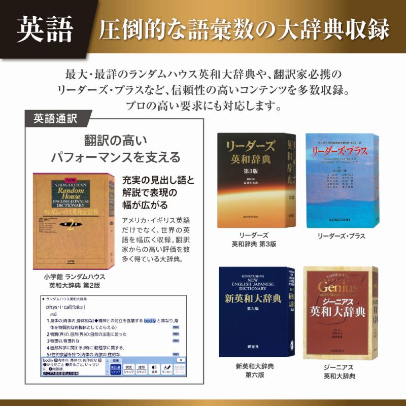 ���|�I�Ȍ�b�͂̑厫�T���^