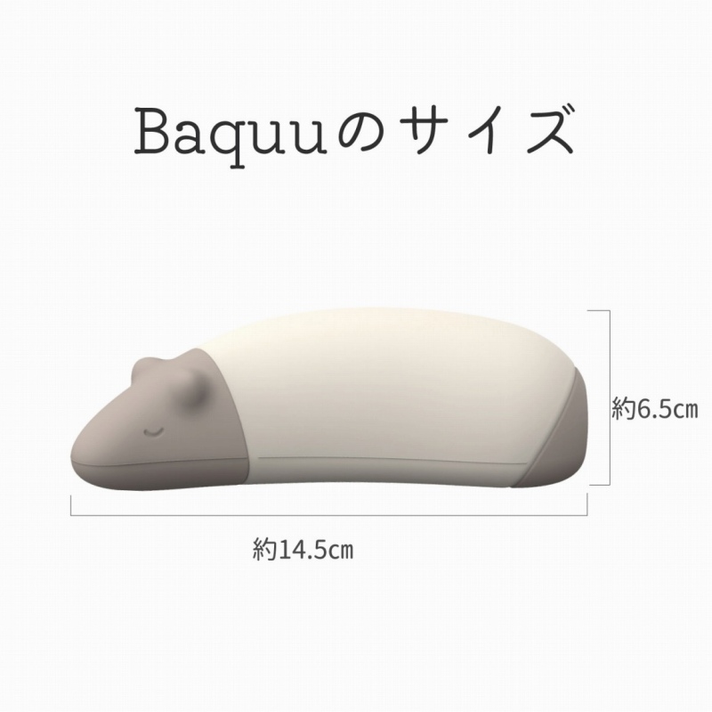 Baquu�̃T�C�Y