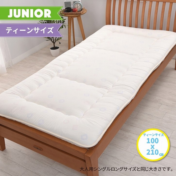 �e�B�[���T�C�Y100&times;210cm