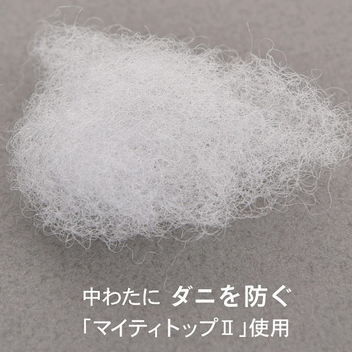 ���ȂɃ_�j��h���u�}�C�e�B�g�b�v2�v�g�p