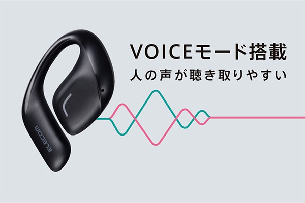 Voice���[�h����
