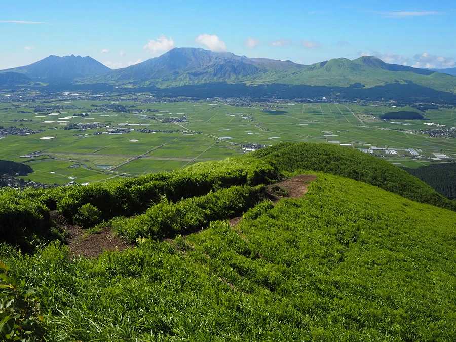 �`�ʐ��\�ɗD�ꂽ�ėp���̍��������Y