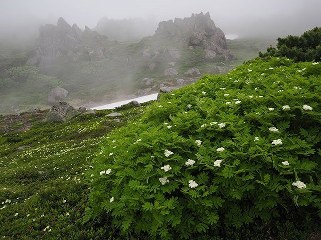 ���S�̖h�o�E�h�H�݌v�ƍ����g�ѐ�