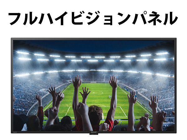 �t���n�C�r�W�����p�l��