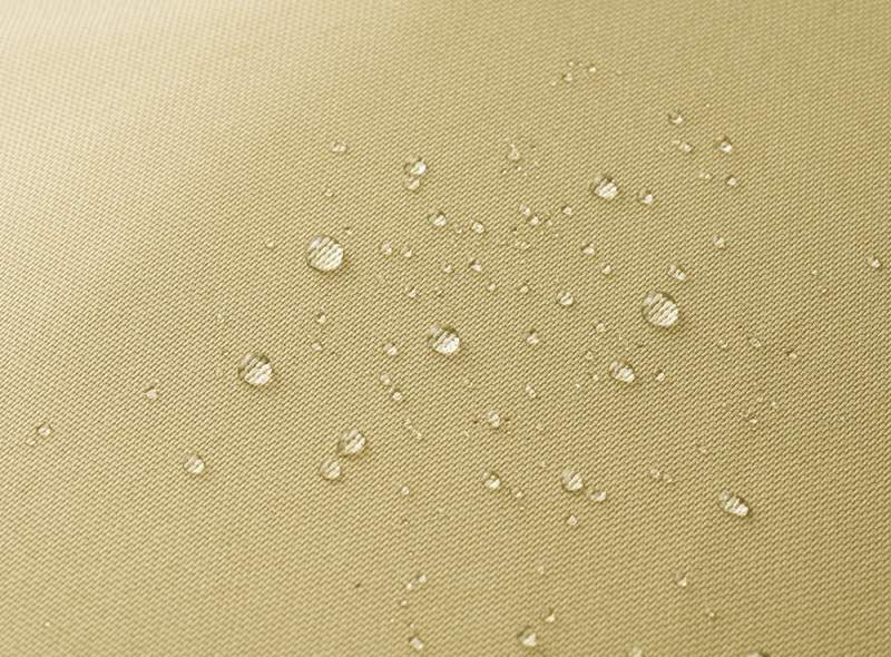 �\�́A�͂������H���n�̗p