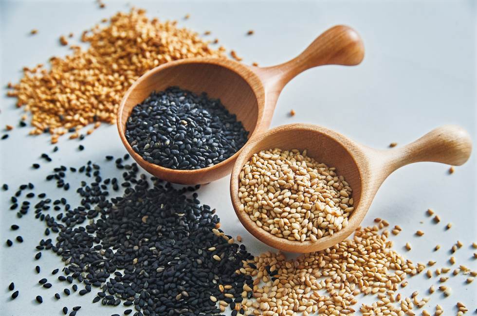 ������1���ɉh�{�������Ղ育�܂�m���āA�����Ɨ����Ɋ��p