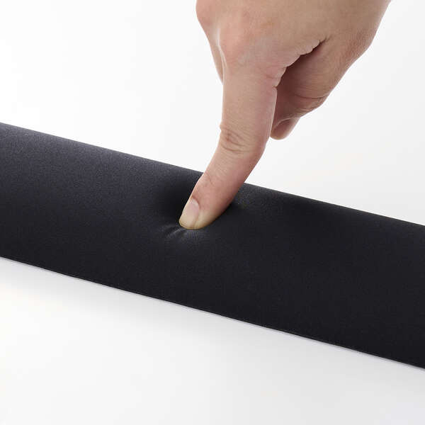 �ᔽ���E���^�����̗p