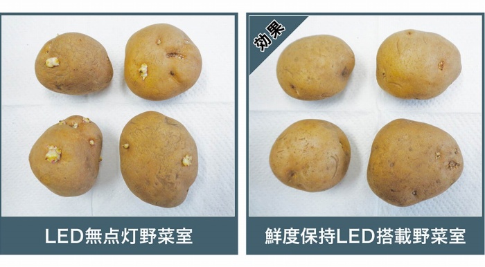 �H�i���X���y�� [����}�����ʁ� 28���ۑ�]