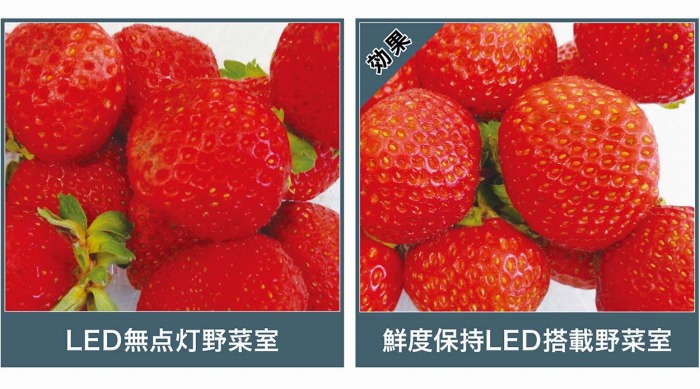 �ϐF���₷����؂₭�����̂��F�N�₩�B �y���s�}�����ʁ�10���ۑ��z