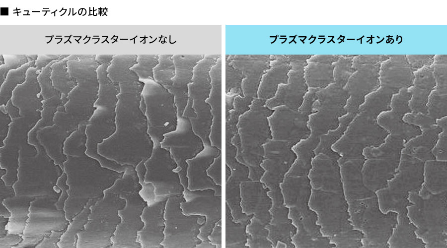 �L���[�e�B�N���������ߌ��ʁ�8