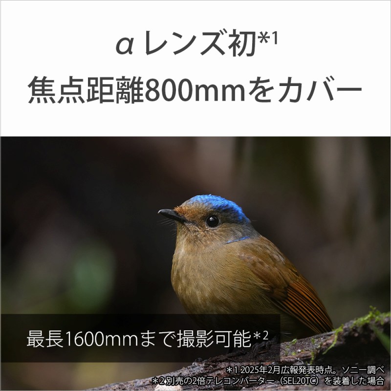 �������Y���@�œ_����800mm���J�o�[