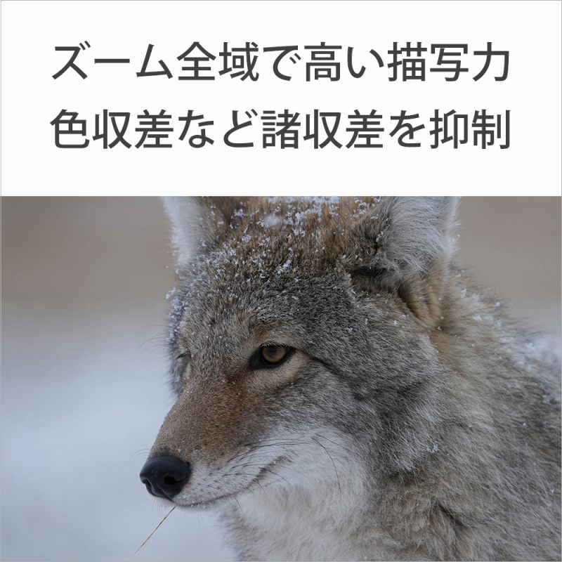 �Y�[���S��ō����`�ʗ́@�F�����ȂǏ�������}��