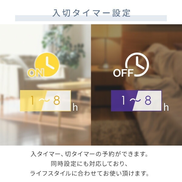 ���؃^�C�}�[�ݒ�