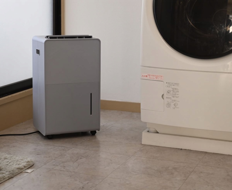 �����\��