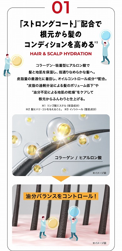 �u�X�g�����O�R�[�g�v�z���ō��{���甯�̃R���f�B�V���������߂�