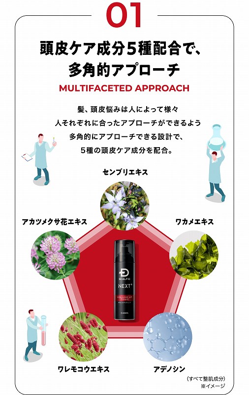 ����P�A����5��ޔz���ő��p�I�A�v���[�`