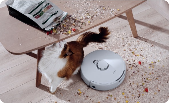 �i���֎~�G���A��ǉ��\