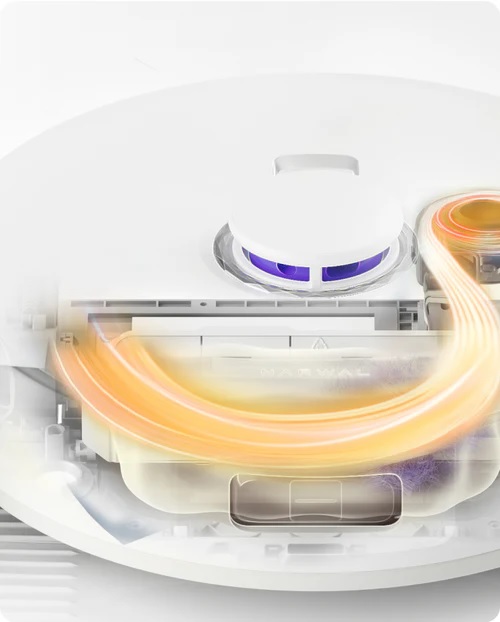 �_�X�g�o�b�O��������