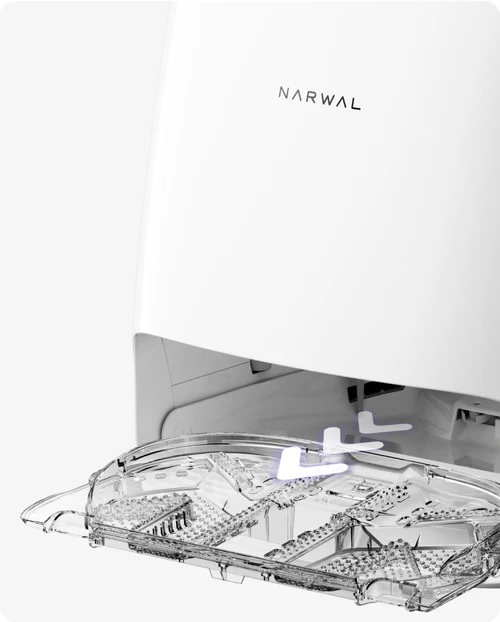 ���O���A���|�\�ȃx�[�X�g���C