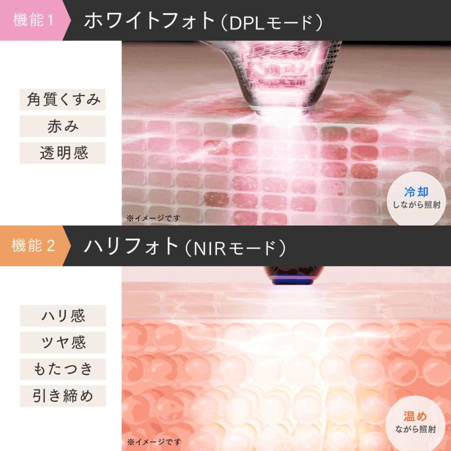 �@�\1�z���C�g�t�H�g�@�@�\2�n���t�H�g