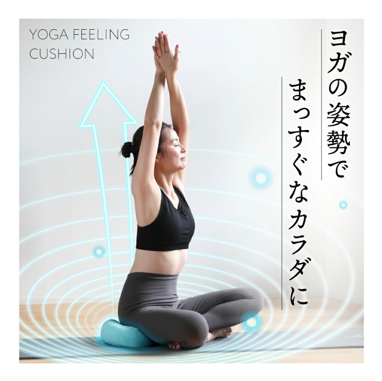 ���K�̎p���ł܂������ȃJ���_��