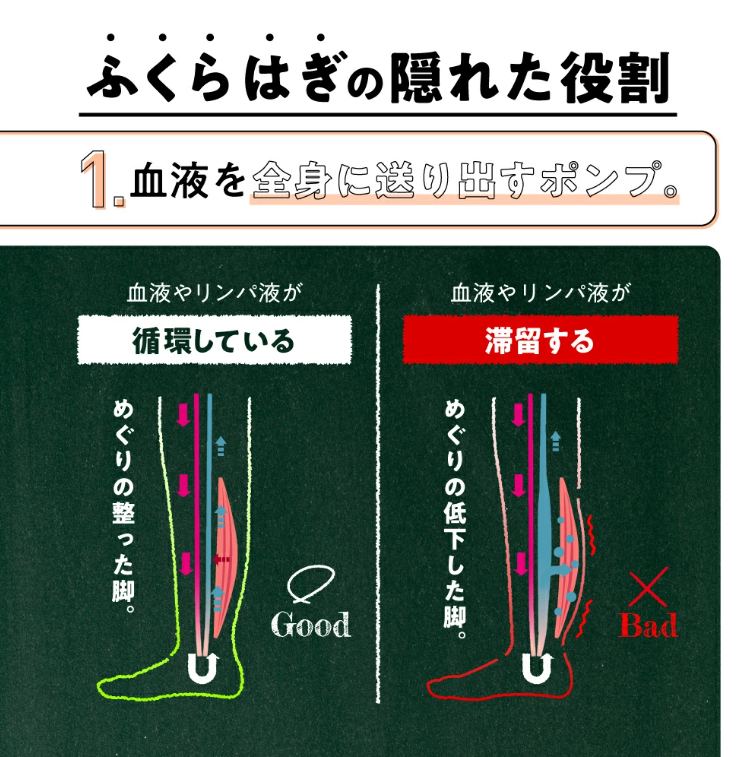 �ӂ���͂��̉B�ꂽ����