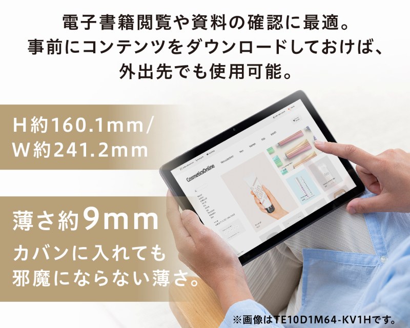 ����10.1�C���`