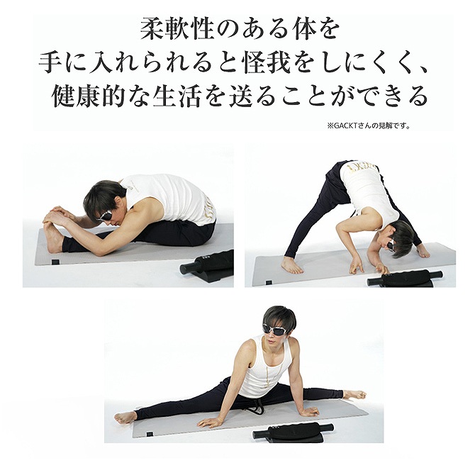 GACKT���l����"�_�"�̏d�v��